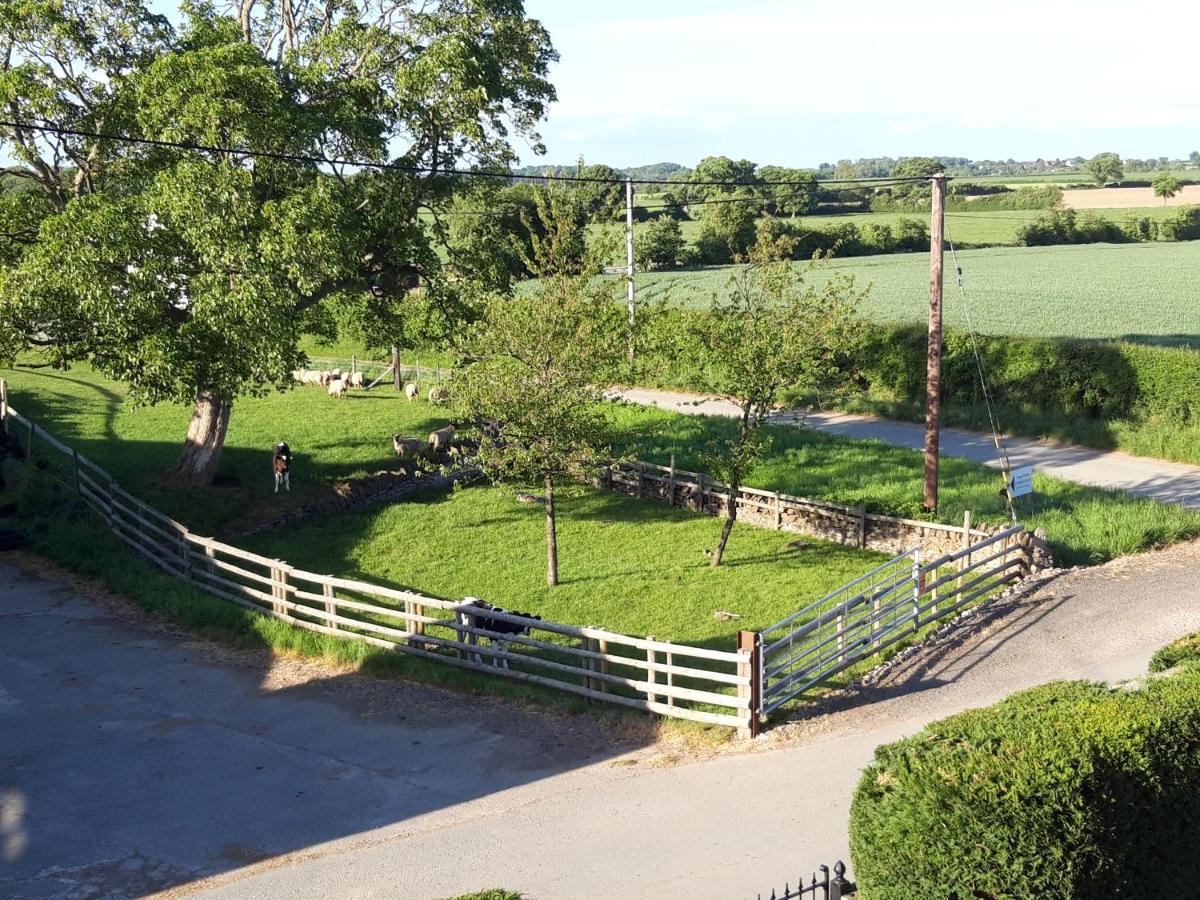 Upper Eyton Farmhouse B&B Alberbury Esterno foto